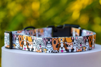 Flash Mob Dog Collar | Value Range Dog Collar-Dog Collar-Dizzy Dog Collars