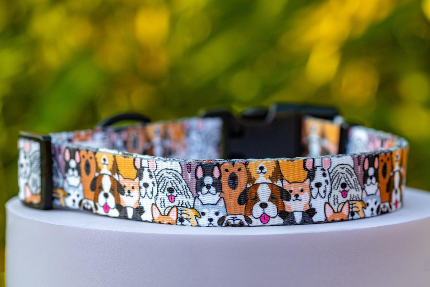 Flash Mob Dog Collar | Value Range Dog Collar-Dog Collar-Dizzy Dog Collars