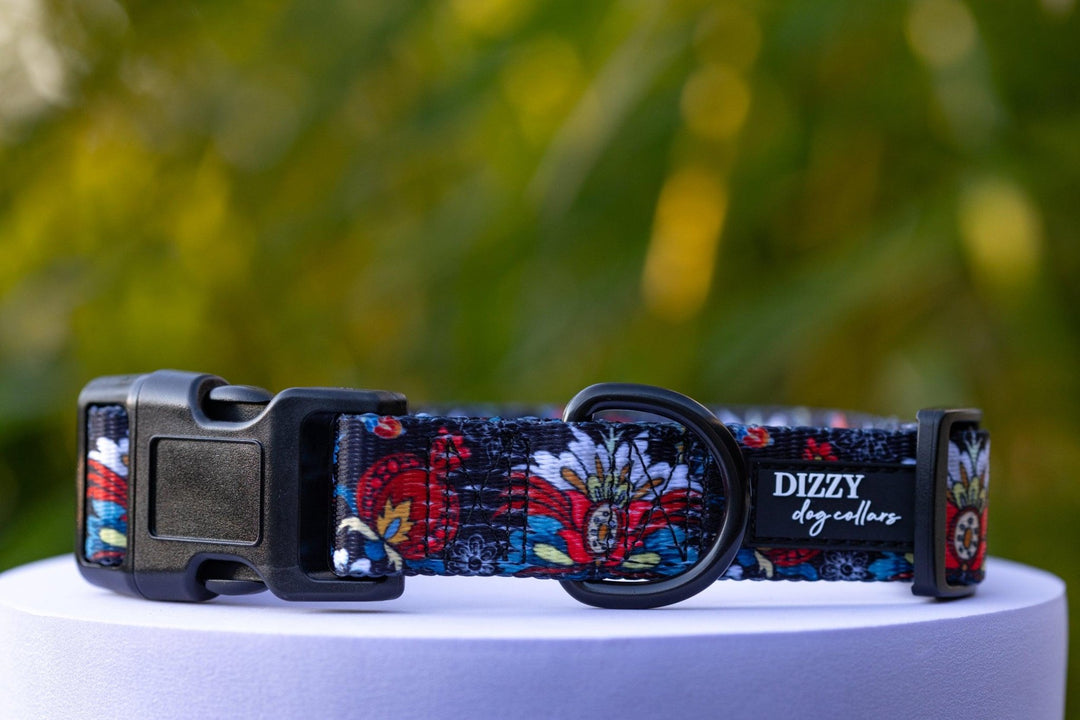 Folklore Dog Collar - Value Range Dog Collar-Dog Collar-Dizzy Dog Collars