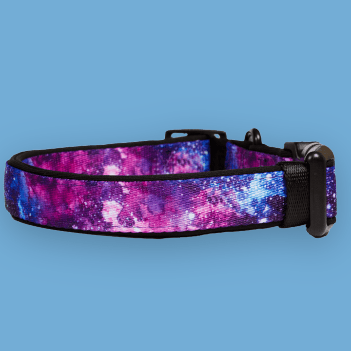 Galaxy Dog Collar-Dog Collar-Dizzy Dog Collars