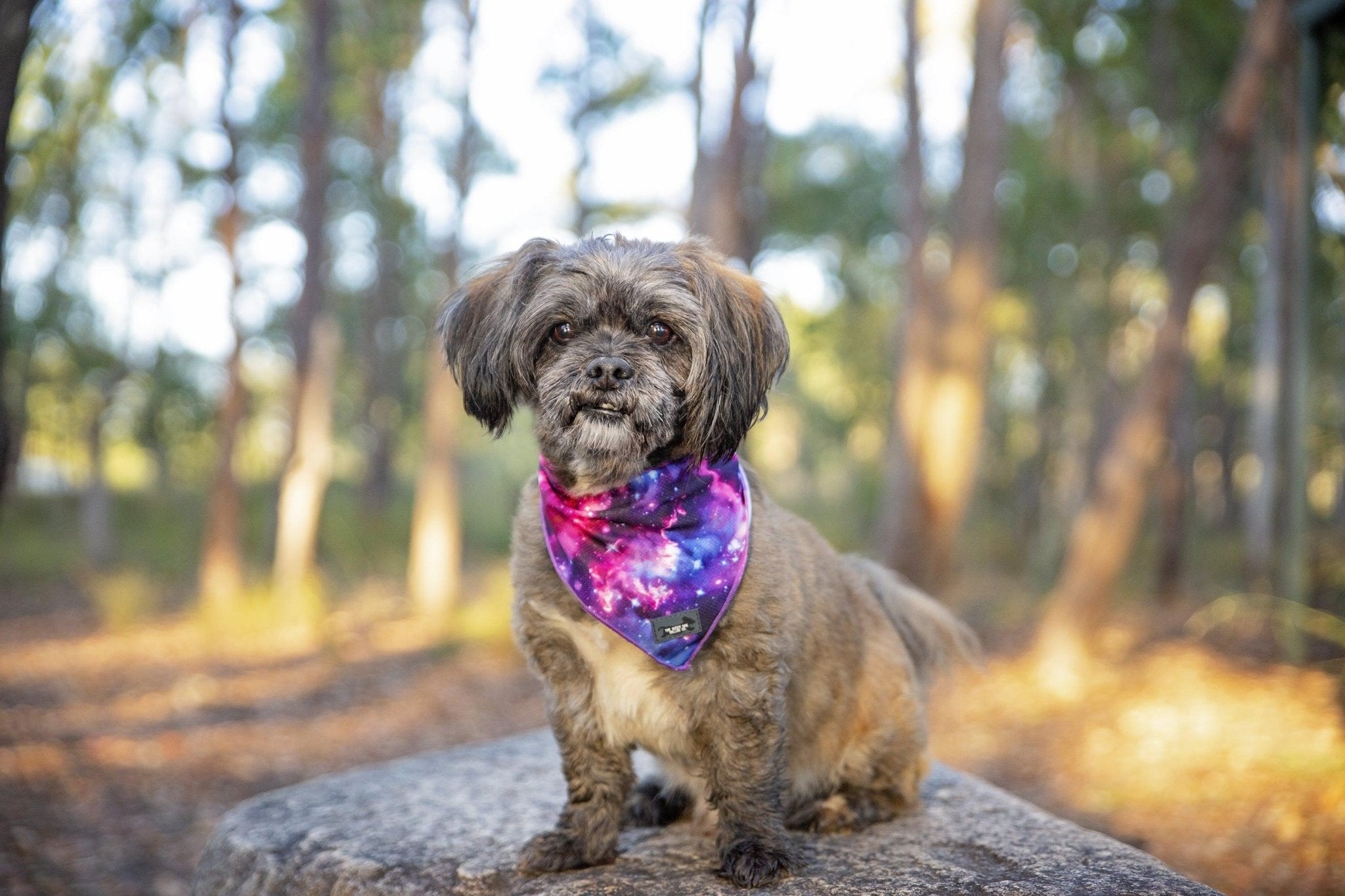 ARIES - Blue and White high quality Tie-Dye Double-Sided Dog Bandana 12 inches for Collar (UK Made & 100% Vegan)