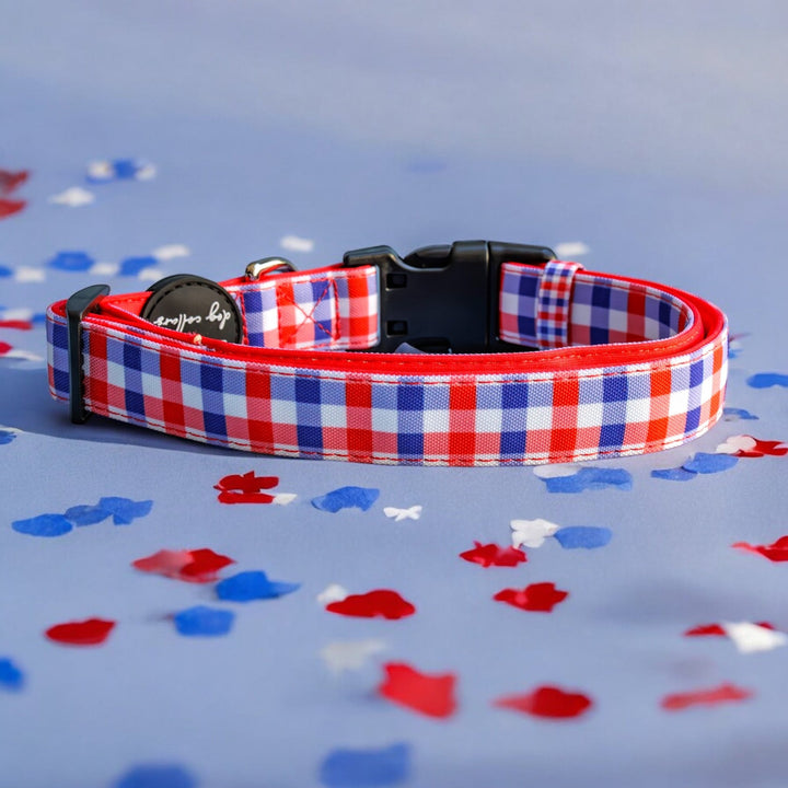 Red, white, and blue gingham-patterned dog collar with a black buckle and silver D-ring. The collar is slightly coiled and displayed on a light blue surface with red, white, and blue floral confetti scattered around