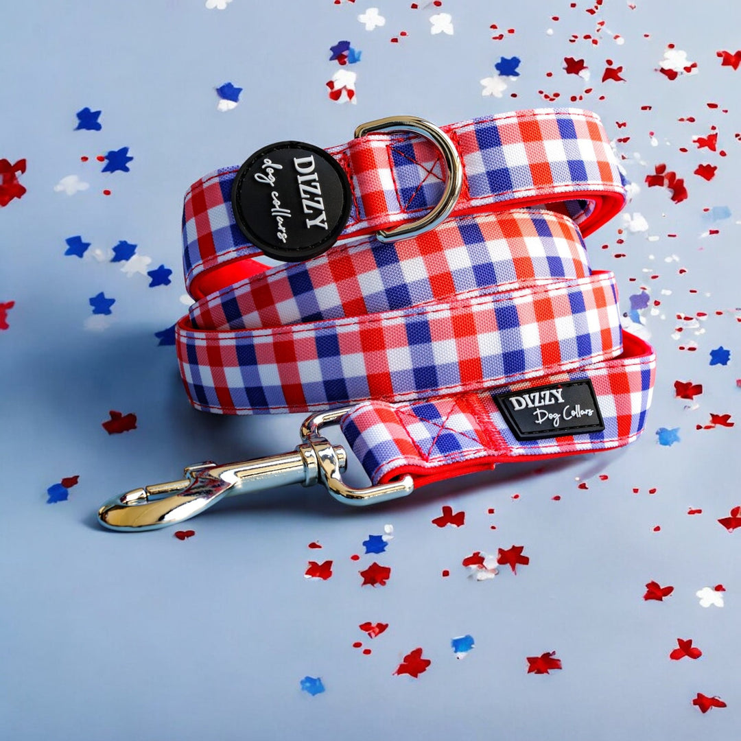 Red, white, and blue gingham-patterned dog leash neatly coiled, featuring a black Dizzy Dog Collars logo, silver D-ring, and a shiny metal clasp. Displayed on a light blue background with scattered red, white, and blue confetti