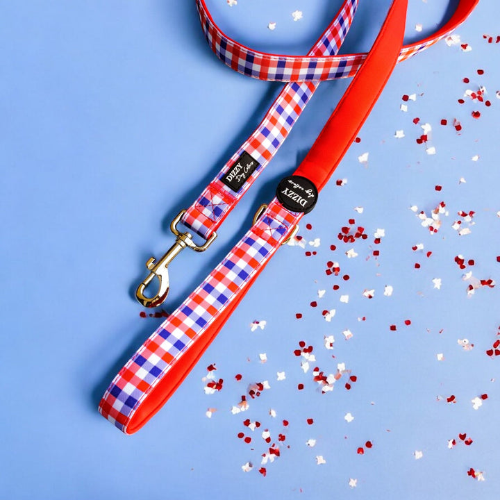 Red, white, and blue gingham-patterned dog leash with a soft red padded underside, featuring a silver metal clasp and black Dizzy Dog Collars logo. The leash is laid out on a light blue background with red and white confetti scattered nearby