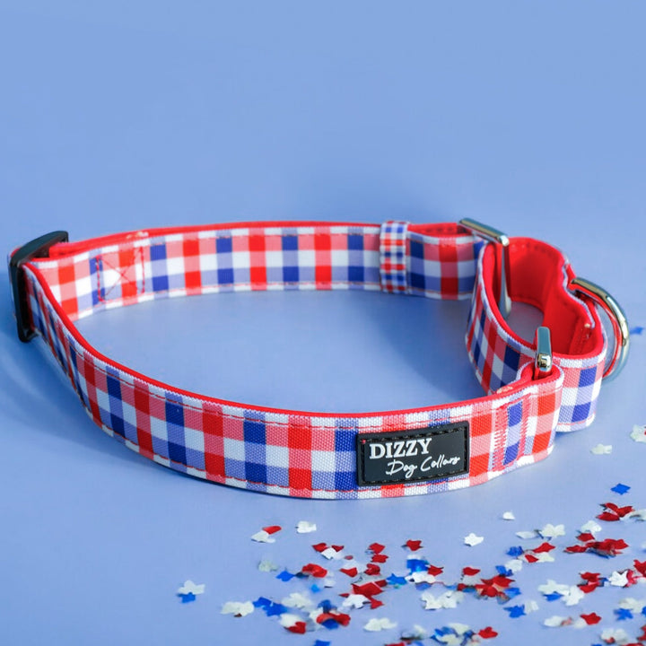 Red, white, and blue gingham-patterned martingale dog collar with silver hardware and a black Dizzy Dog Collars logo, displayed in a loop on a light blue background with scattered red, white, and blue confetti