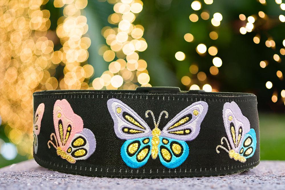 gold dog collar, butterflies dog collar, dog collars