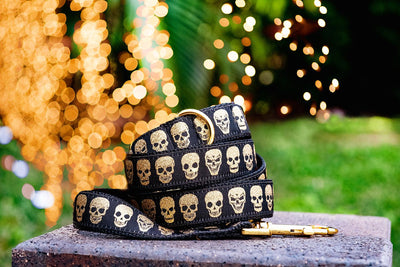 gold dog collar, skulls dog collar, dog collars, dias de los muertos dog lead