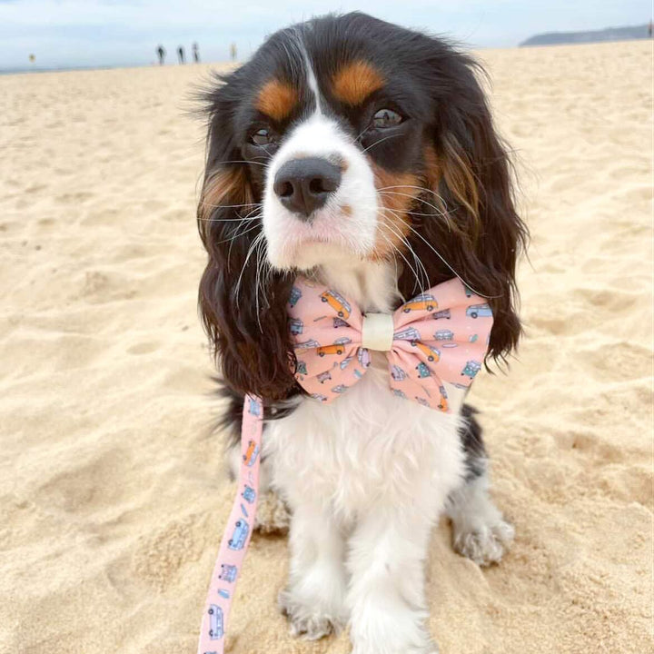 Happy Hippie: Sailor Bow Tie-Bow Tie-Dizzy Dog Collars