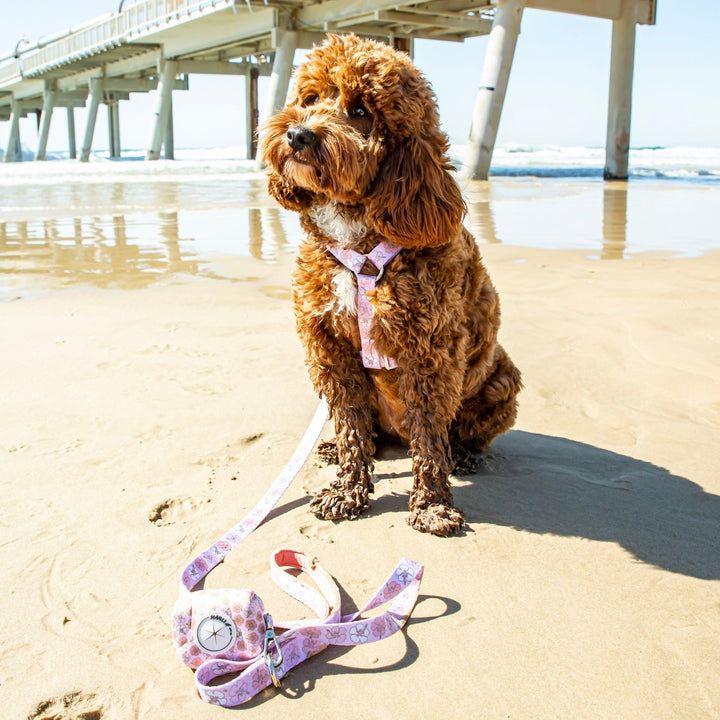 Aloha: Strap Harness-Harness-Dizzy Dog Collars