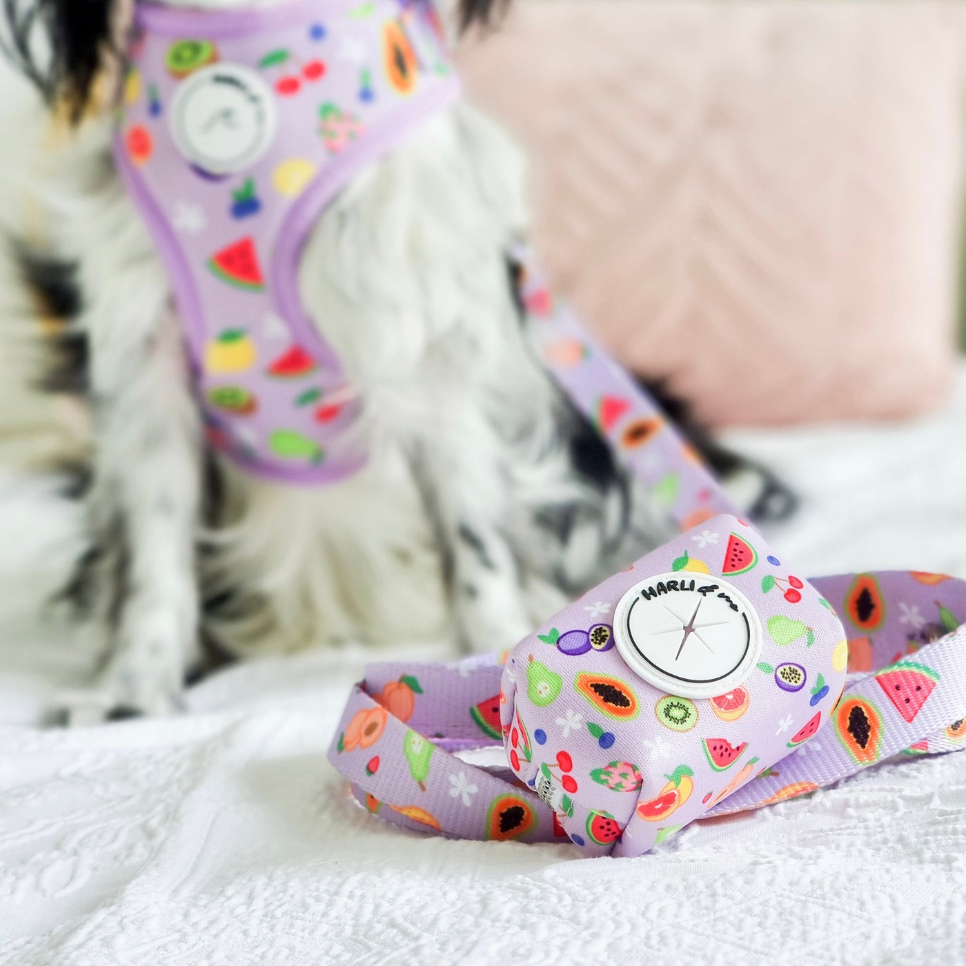 Paradise Punch: Poop Bag Holder-Poop Bag Holder-Dizzy Dog Collars