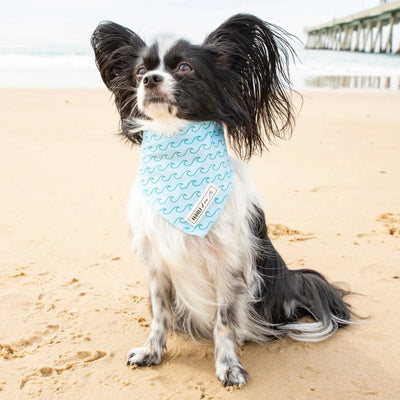 Poseidon: Bandana-Bandana-Dizzy Dog Collars