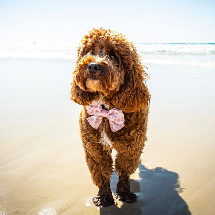 Aloha: Sailor Bow Tie-Bow Tie-Dizzy Dog Collars