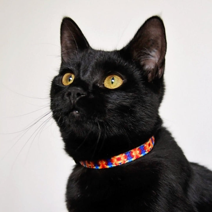 Kaleidoscope Cat Collar | Toy Breed Dog Collar | Puppy Collar-puppy/cat-Dizzy Dog Collars