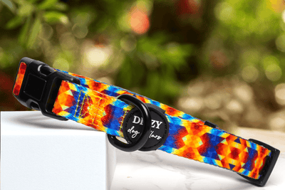 Kaleidoscope Dog Collar | Value Range Dog Collar-Dog Collar-Dizzy Dog Collars