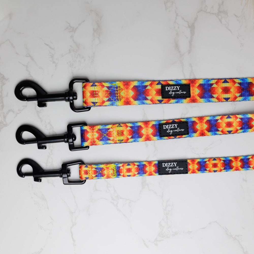 Kaleidoscope Dog Leash | Dog Lead-Leash-Dizzy Dog Collars