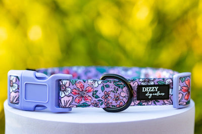 Lilac Floral Dog Collar | Value Range Dog Collar-Dog Collar-Dizzy Dog Collars