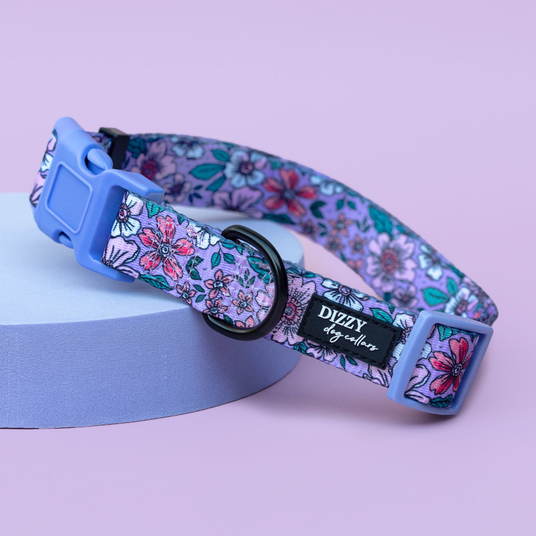 Lilac Floral Dog Collar | Value Range Dog Collar