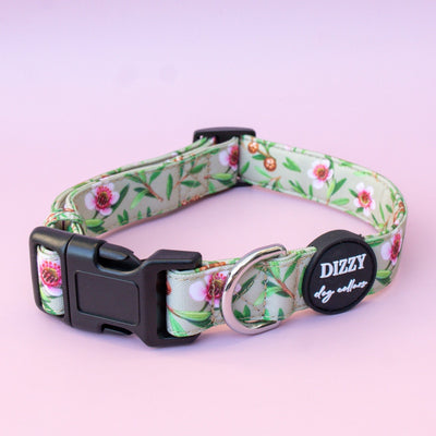 Manuka Dog Collar | Canvas & Neoprene Dog Collar-Dog Collar-Dizzy Dog Collars