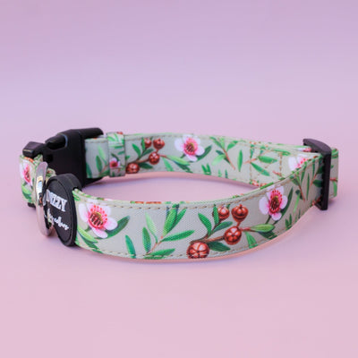 Manuka Dog Collar | Canvas & Neoprene Dog Collar-Dog Collar-Dizzy Dog Collars