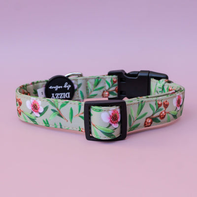 Manuka Dog Collar | Canvas & Neoprene Dog Collar-Dog Collar-Dizzy Dog Collars