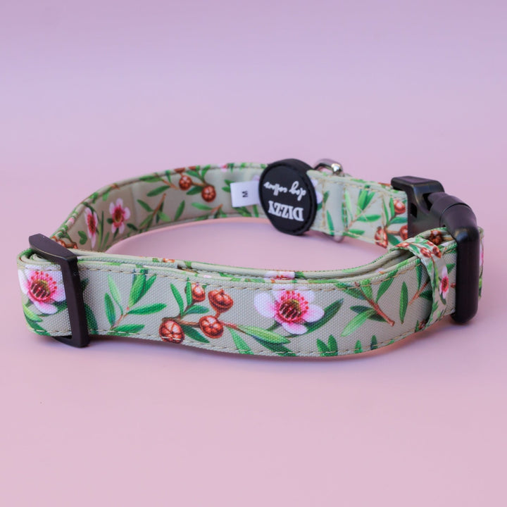 Manuka Dog Collar | Canvas & Neoprene Dog Collar-Dog Collar-Dizzy Dog Collars