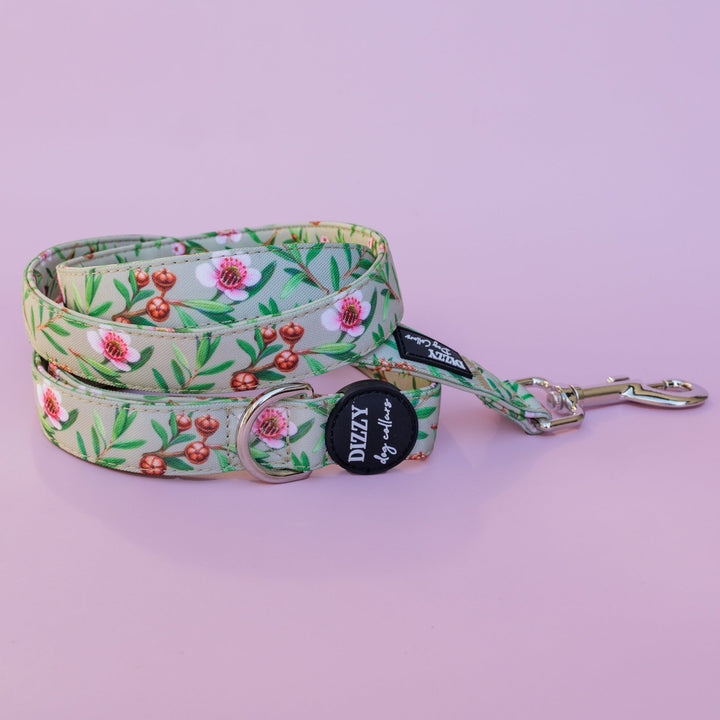 Manuka Dog Leash | Canvas & Neoprene | Premium Quality Fully Padded Leash-Leash-Dizzy Dog Collars