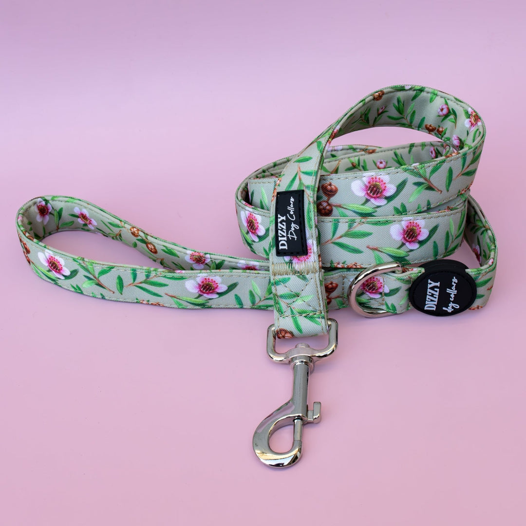 Manuka Dog Leash | Canvas & Neoprene | High Quality Fully Padded Leash-Leash-Dizzy Dog Collars