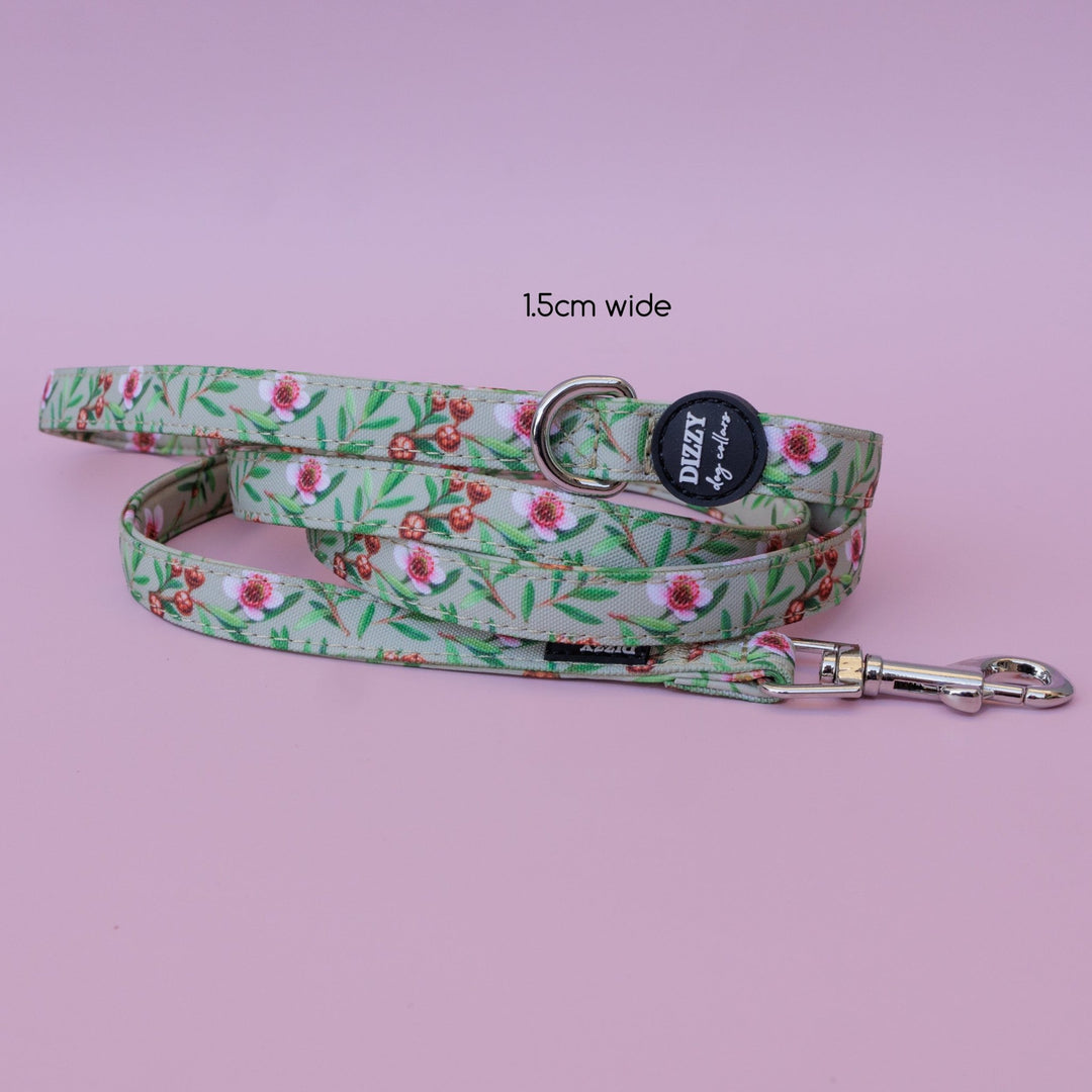 Manuka Dog Leash | Canvas & Neoprene | High Quality Fully Padded Leash-Leash-Dizzy Dog Collars