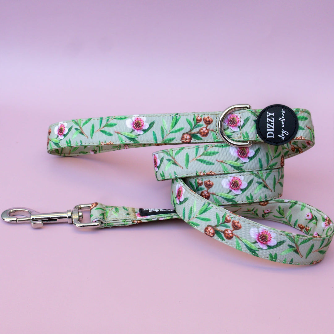 Manuka Dog Leash | Canvas & Neoprene | High Quality Fully Padded Leash-Leash-Dizzy Dog Collars