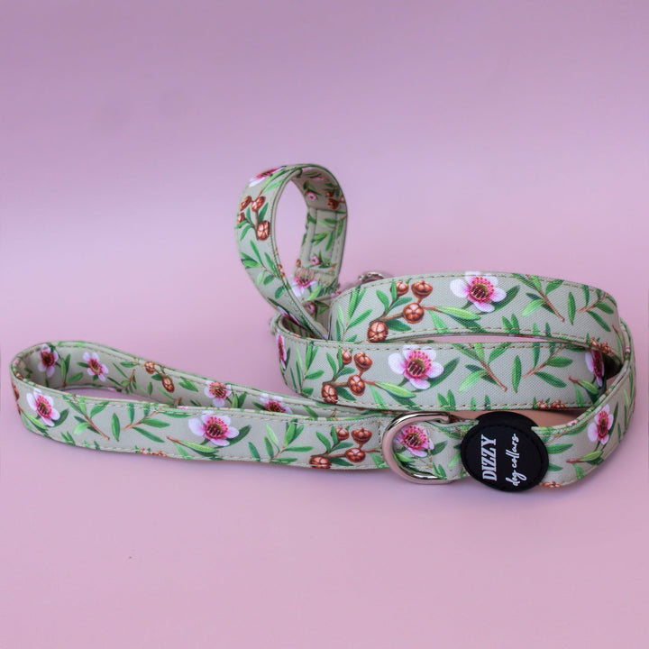 Manuka Dog Leash | Canvas & Neoprene | High Quality Fully Padded Leash-Leash-Dizzy Dog Collars