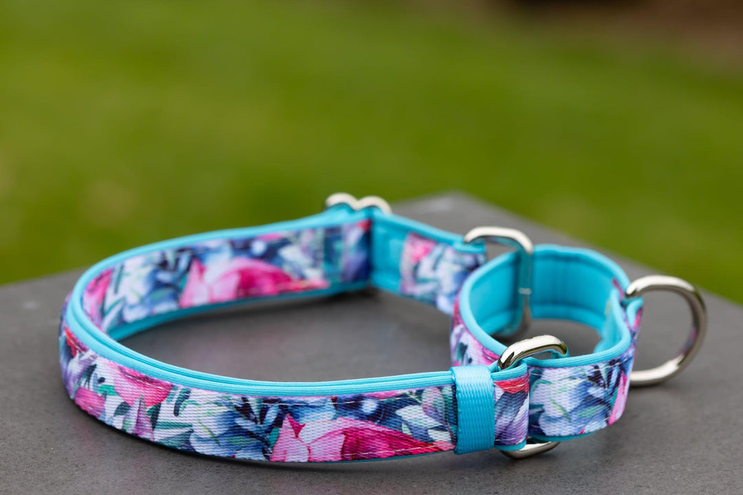 Martingale Dog Collar - Blossom Rose-Dog Collar-Dizzy Dog Collars