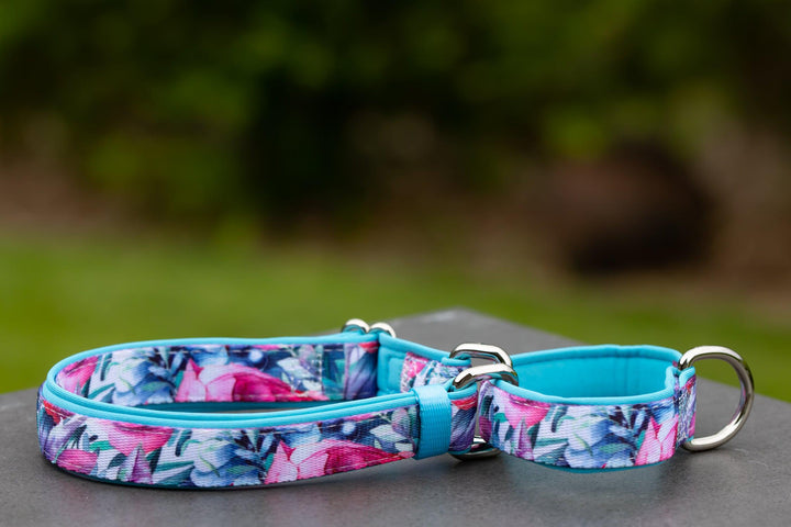 Martingale Dog Collar - Blossom Rose-Dog Collar-Dizzy Dog Collars