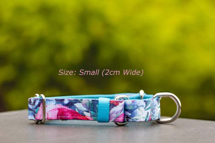 Martingale Dog Collar - Blossom Rose-Dog Collar-Dizzy Dog Collars