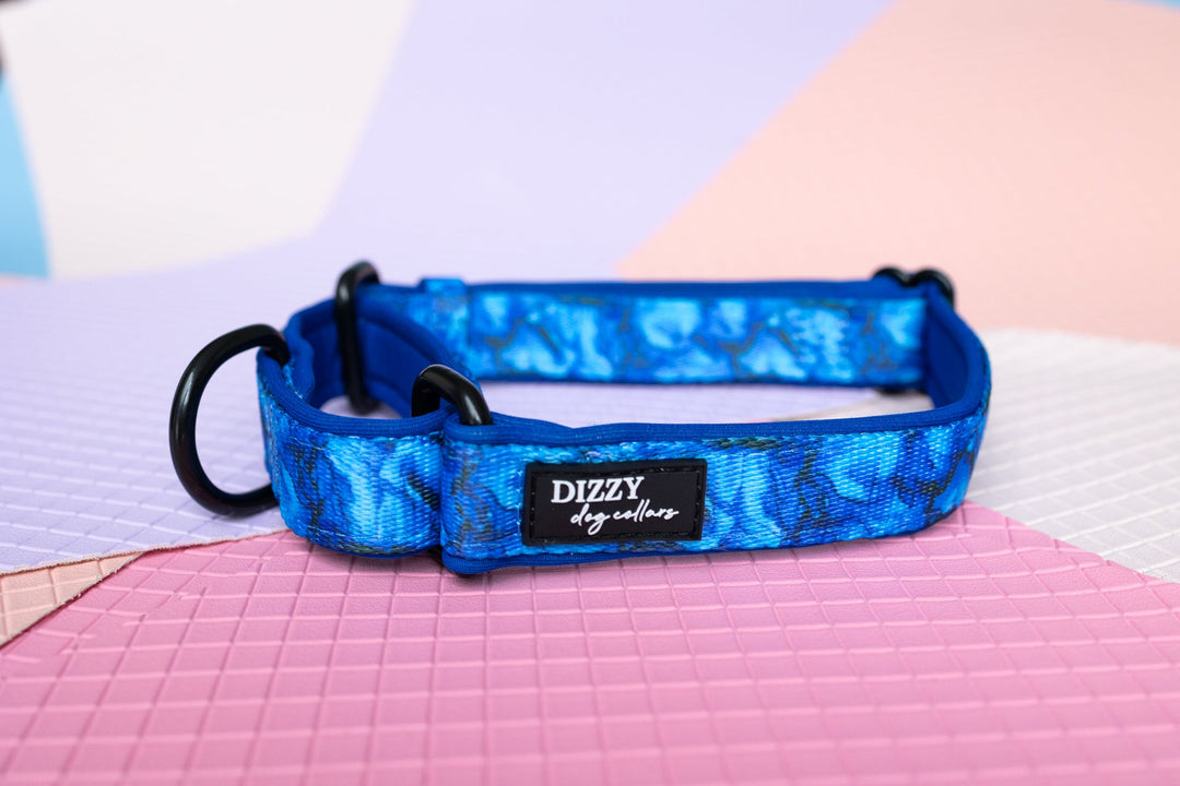 Martingale Dog Collar - Blue Marble-Dog Collar-Dizzy Dog Collars