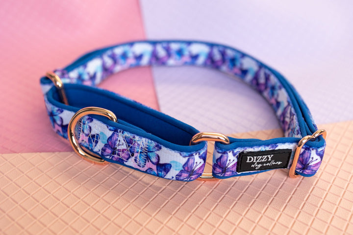 Martingale Dog Collar - Butterfly Ballet-Dog Collar-Dizzy Dog Collars