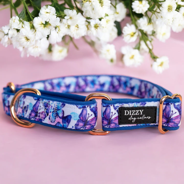 **Butterfly Martingale Dog Collar by Dizzy Dog Collars**   This martingale dog collar features a beautiful butterfly pattern in shades of blue and purple. Designed to provide gentle control, it helps prevent dogs from slipping out of their collars while on a leash. The collar is made of durable, high-quality fabric and includes rose gold hardware for a stylish touch. Ideal for training and daily walks, it combines functionality with elegance, ensuring your pet looks great while staying safe.