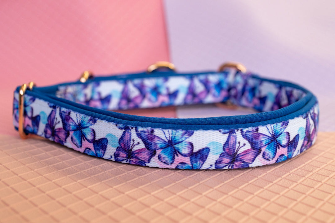 Martingale Dog Collar - Butterfly Ballet-Dog Collar-Dizzy Dog Collars