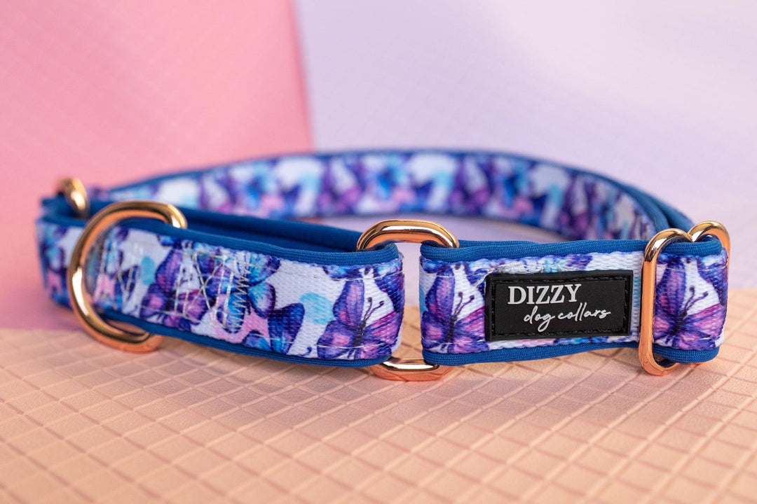 Martingale Dog Collar - Butterfly Ballet-Dog Collar-Dizzy Dog Collars