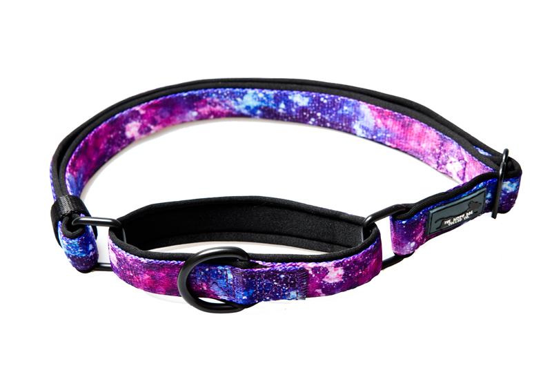 Martingale Dog Collar - Galaxy-Dog Collar-Dizzy Dog Collars-Small-Dizzy Dog Collars