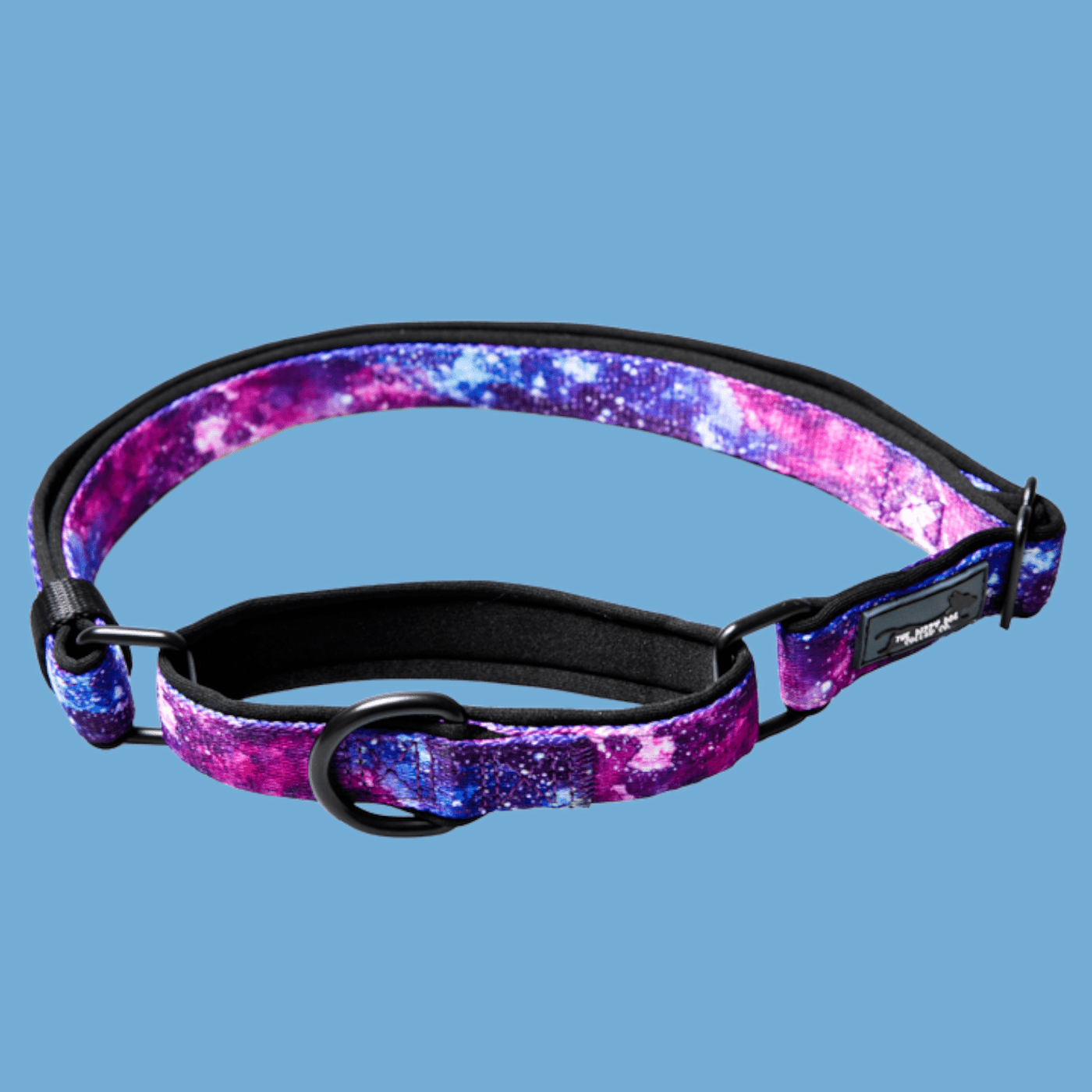 Martingale Dog Collar - Galaxy-Dog Collar-Dizzy Dog Collars