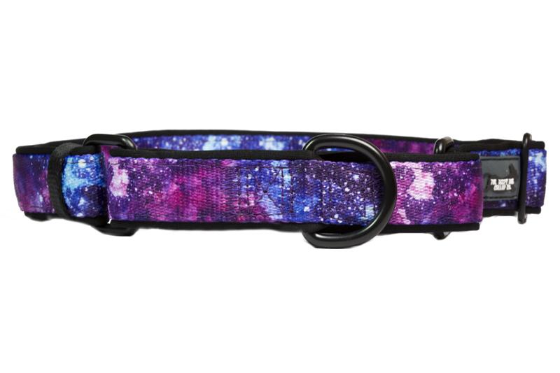 Martingale Dog Collar - Galaxy-Dog Collar-Dizzy Dog Collars-Small-Dizzy Dog Collars