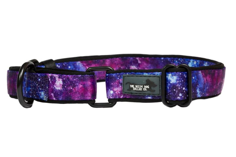 Martingale Dog Collar - Galaxy-Dog Collar-Dizzy Dog Collars-Small-Dizzy Dog Collars