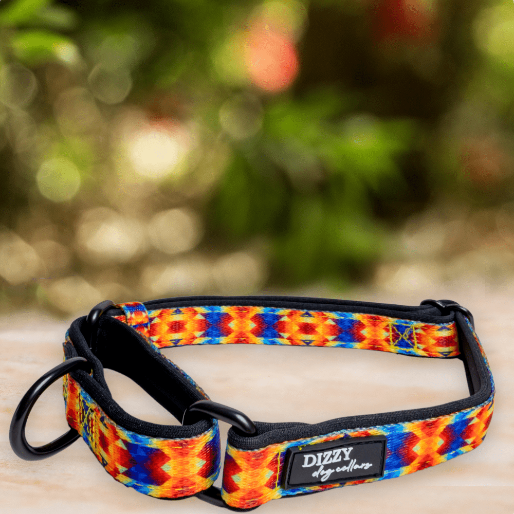 Martingale Dog Collar | Kaleidoscope-Dog Collar-Dizzy Dog Collars