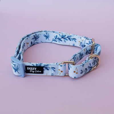 Martingale Dog Collar | Little Lou-Dog Collar-Dizzy Dog Collars