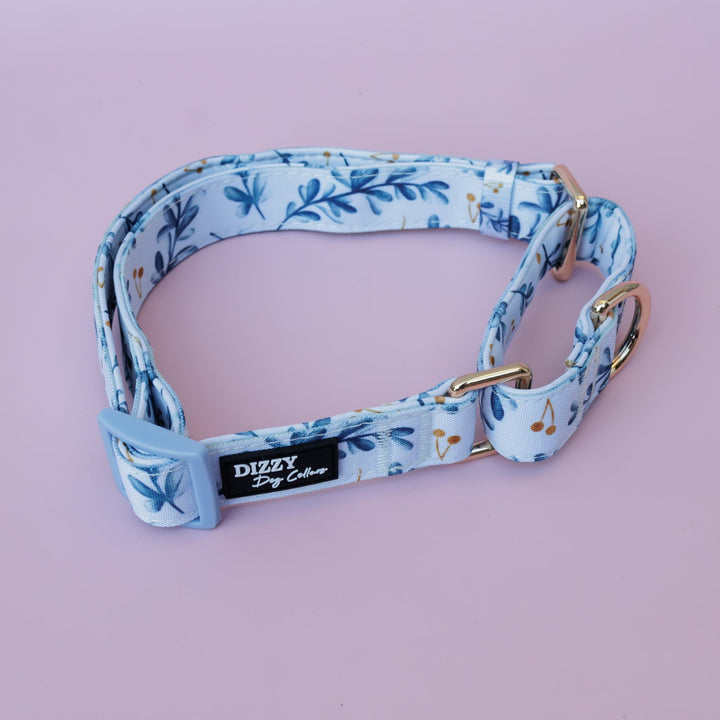 Martingale Dog Collar | Little Lou-Dog Collar-Dizzy Dog Collars