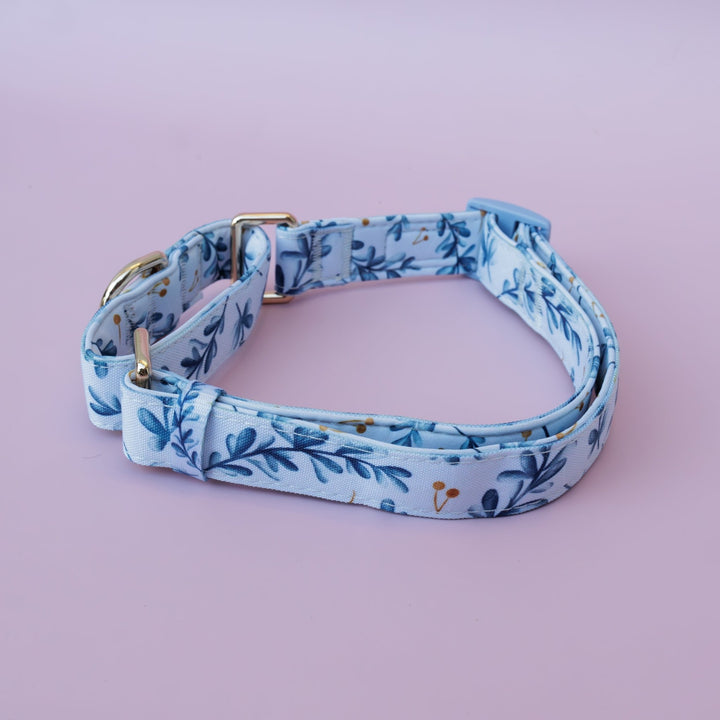 Martingale Dog Collar | Little Lou-Dog Collar-Dizzy Dog Collars