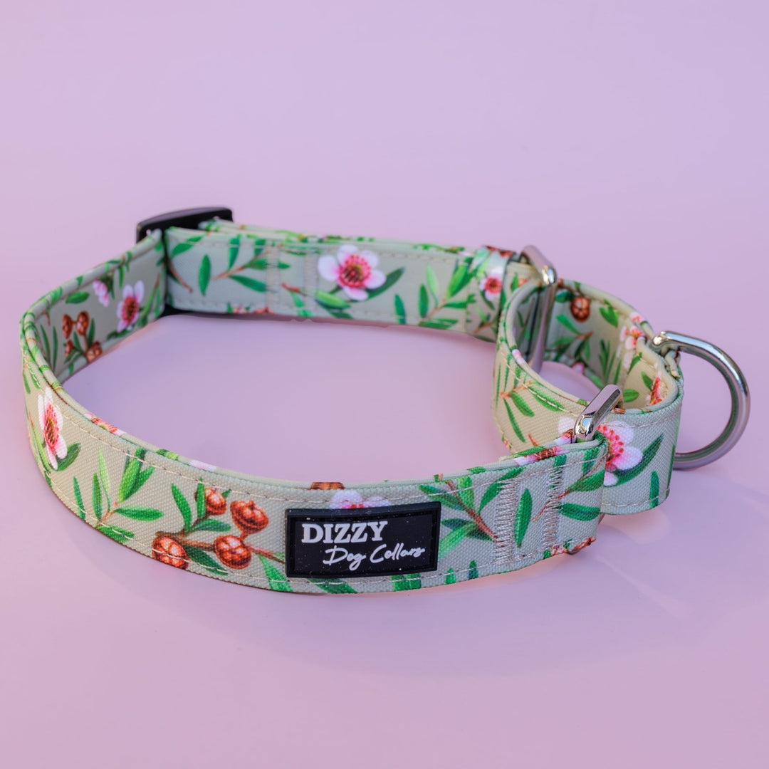 Martingale Dog Collar | Manuka-Dog Collar-Dizzy Dog Collars