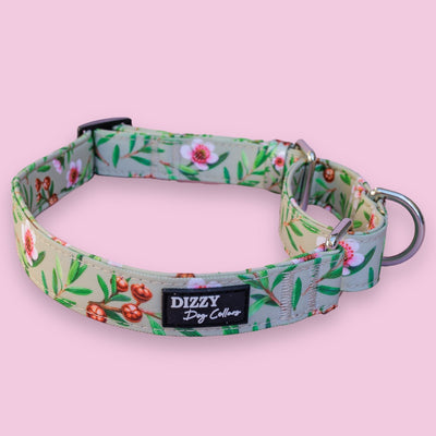 Martingale Dog Collar | Manuka-Dog Collar-Dizzy Dog Collars