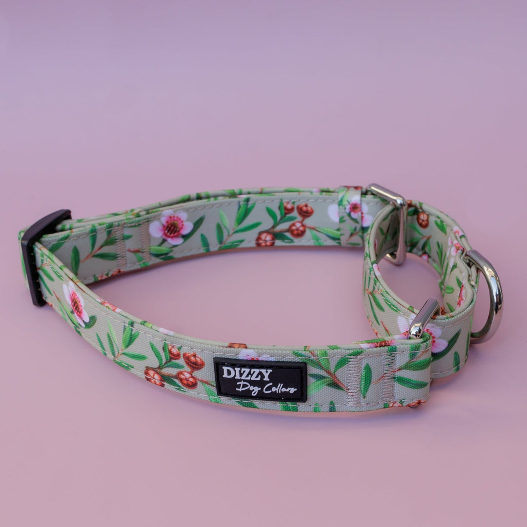 Martingale Dog Collar | Manuka-Dog Collar-Dizzy Dog Collars