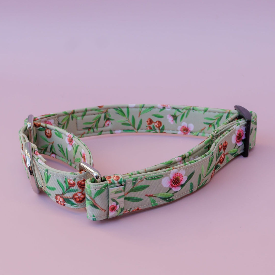 Martingale Dog Collar | Manuka-Dog Collar-Dizzy Dog Collars